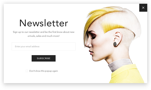 Newsletter popup plugin is included in the Avenue Theme