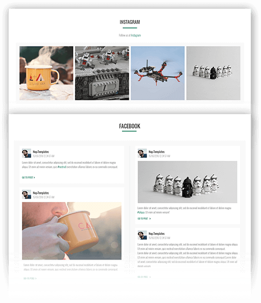 Element Theme Features - Social Feed plugin included