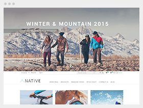 native theme for nopcommerce