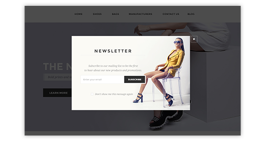 Uptown Theme Features - Newsletter Popup plugin included