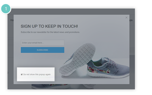 Newsletter Popup Plugin Features - do not show this popup again option is available