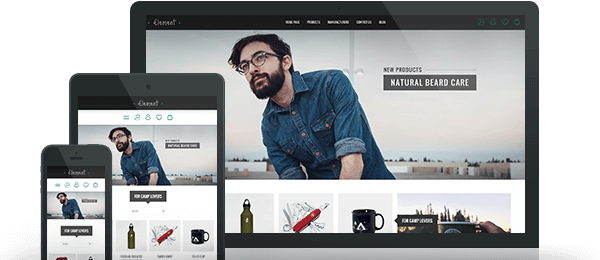 Preview of Element Theme for nopCommerce