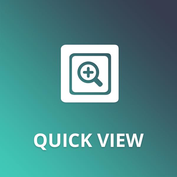 Quick View plugin for nopCommerce